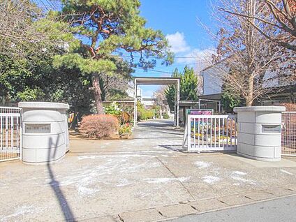 柏市立柏第一小学校 800m(徒歩10分)