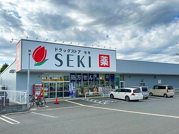 ドラッグストアセキ梅郷店（約500m）