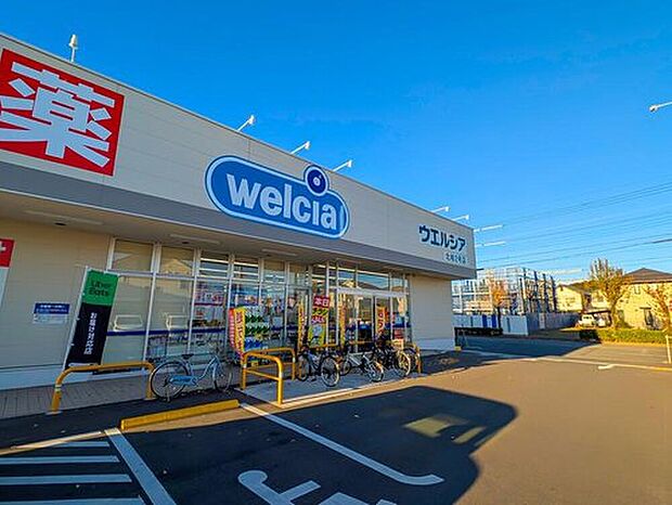 ウエルシア北柏2号店（約1,100m）