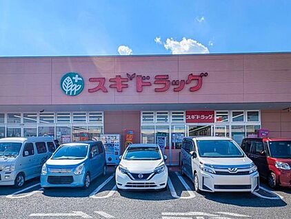 スギドラッグ 野田下町店 1100m (徒歩14分)