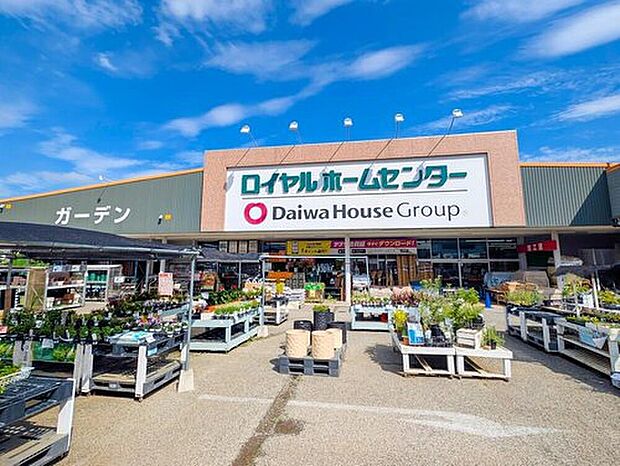 ロイヤルホームセンター南増尾（約1,000m）