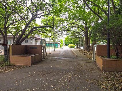 柏市立藤心小学校 1360ｍ(徒歩17分)