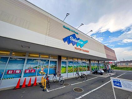 セレクション青葉台店 1400m(徒歩18分)