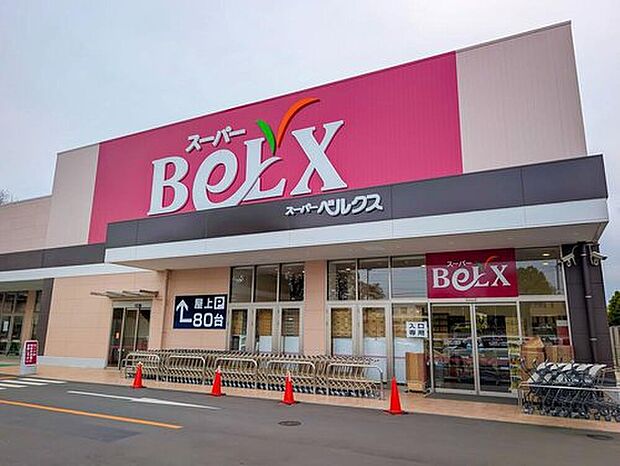 ベルクス柏大室店（約450m）