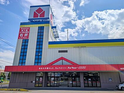 ヤマダデンキテックランド柏沼南店 1500m(徒歩19分/車で約6分)