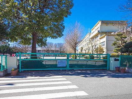 柏市立柏第八小学校 850m(徒歩11分)