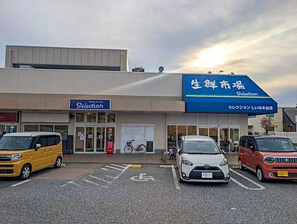 セレクション しいの木台店 800m(徒歩10分)