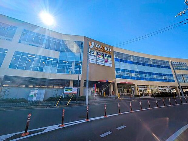 マツモトキヨシ柏高柳駅前店(約300m)