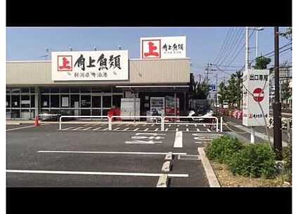 角上魚類大宮店 800m(徒歩10分)