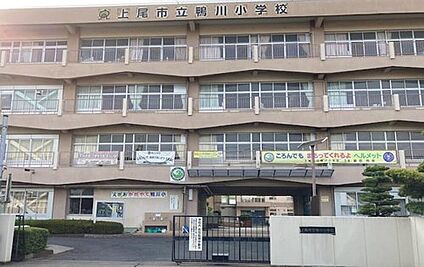 上尾市立鴨川小学校 徒歩10分(徒歩10分)