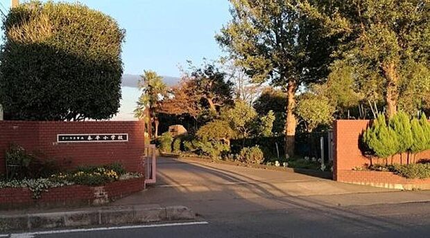 さいたま市立泰平小学校(約500m)