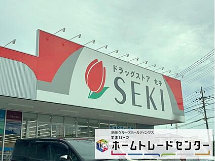 ドラッグストアセキ伊奈栄店 750m(徒歩10分)