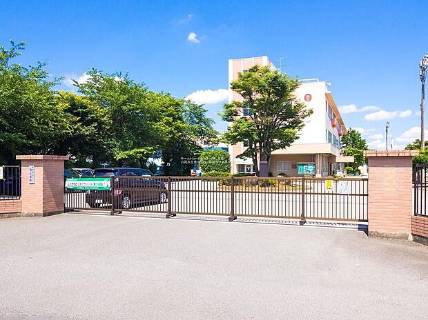 白岡市立南小学校（約600m）