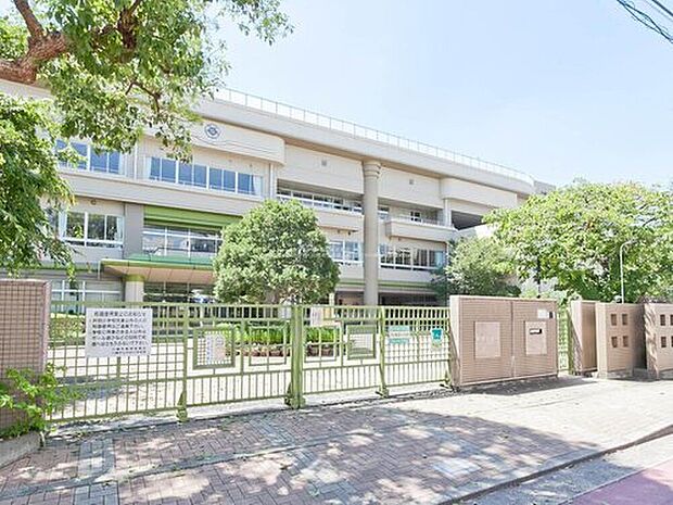 川崎市立井田小学校(約900m)