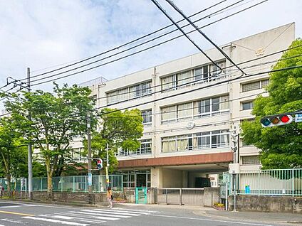 川崎市立野川小学校 400m (徒歩5分)