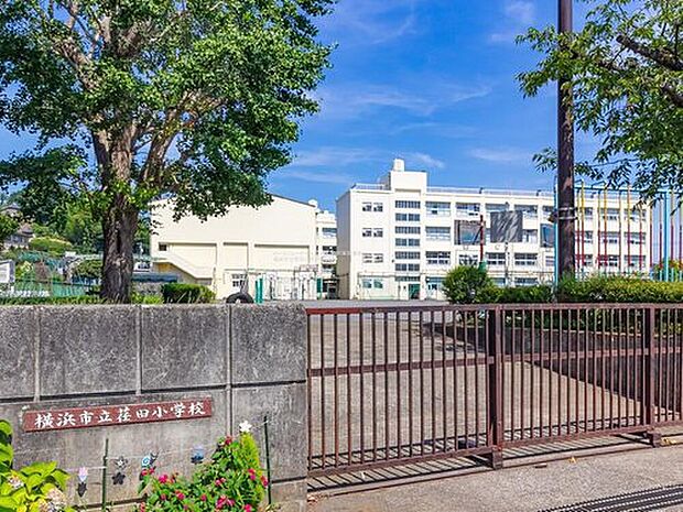 横浜市立荏田小学校（約700m）