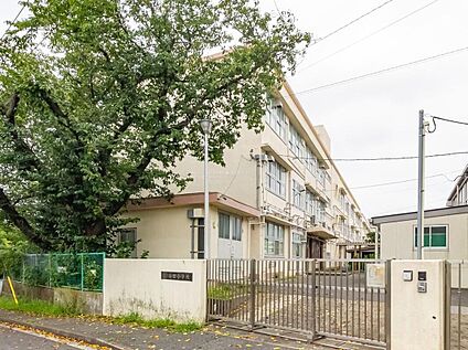 横浜市立高田小学校 930m(徒歩12分/自転車4分)