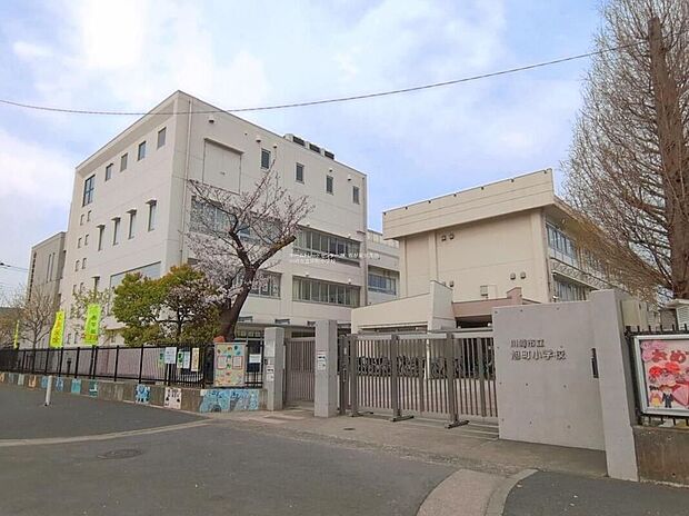 川崎市立旭町小学校（約455m）