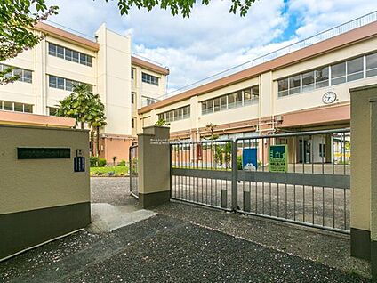 川崎市立千代ヶ丘小学校 100ｍ(徒歩2分)