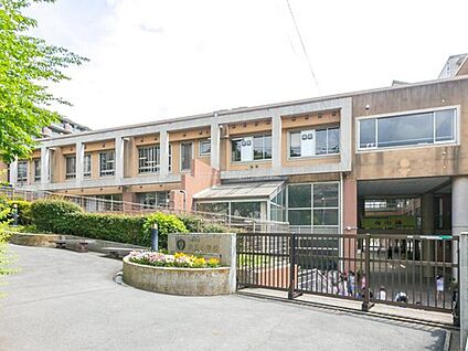 川崎市立向丘小学校 990ｍ(徒歩13分/自転車4分)