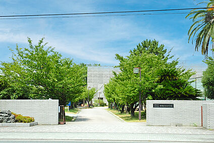 静岡大学教育学部附属小学校・中学校 現地から160m。(徒歩2分。)