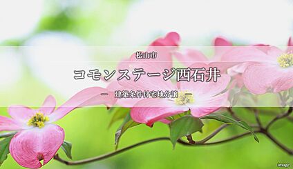 コモンステージ西石井
