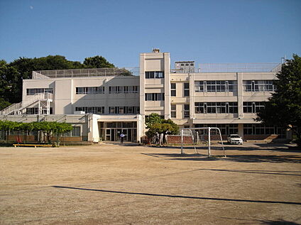 藤崎小学校 500m