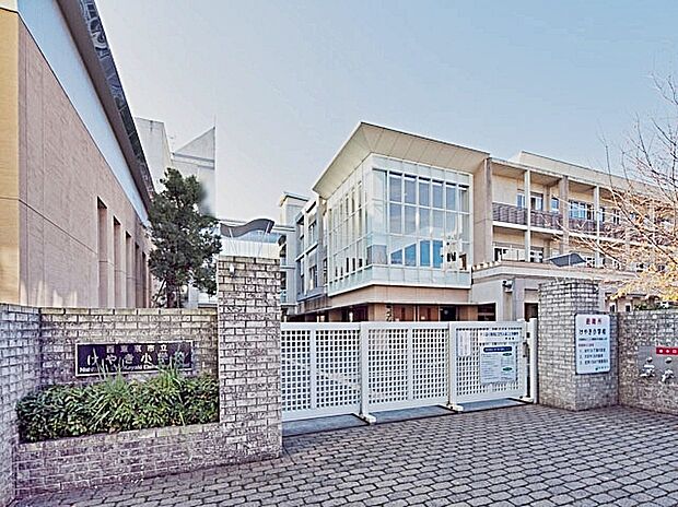 けやき小学校