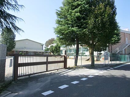 片山小学校 約256m