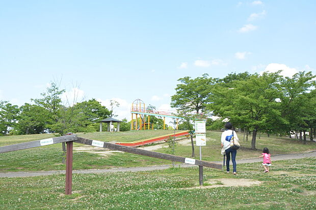 九条公園(約2,600m)