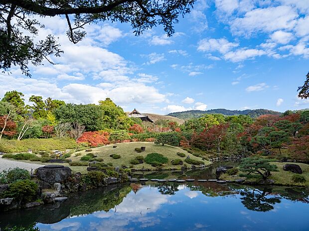 依水園（約1,100m）