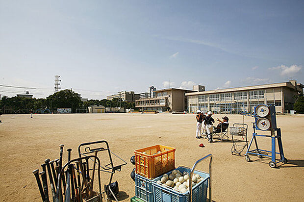 【幼稚園や小学校が徒歩10分圏内】城陽小学校まで徒歩9～10分。城陽幼稚園が隣接しており、相互交流も頻繁に行われています。通いなれた通学路で低学年のお子様も通学しやすく、子育て世代にも安心です。