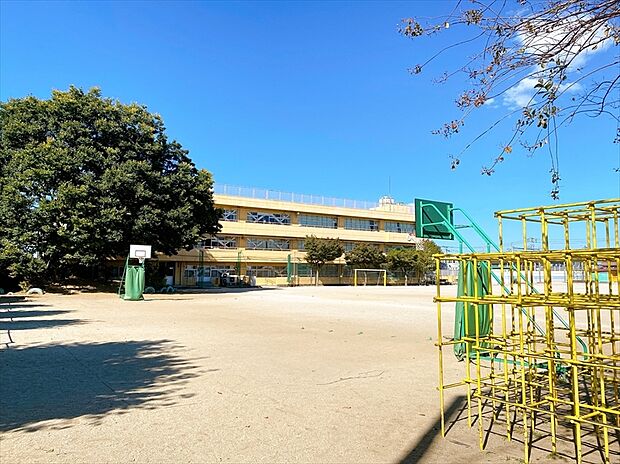 新座市立新開小学校