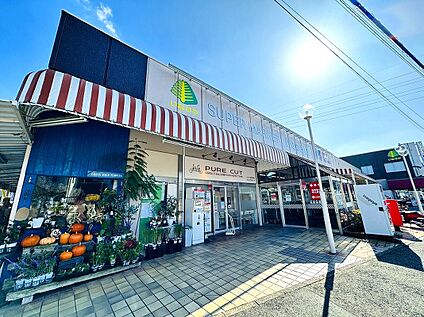 いなげや和光新倉店 約800ｍ～850ｍ(徒歩10～11分)