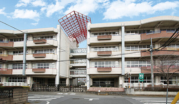 富士見小学校(約60m)