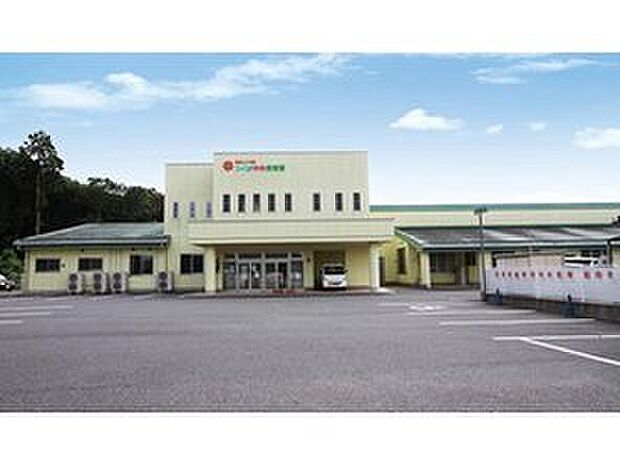幼保連携型認定こども園つくば中央保育園