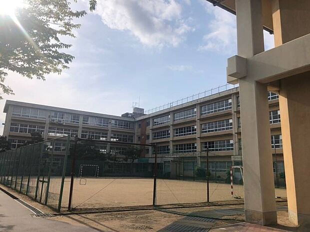 芳野中学校（約1m）