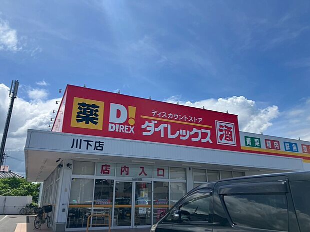 ダイレックス川下店
