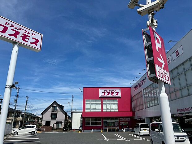 ドラッグストアコスモス 川下店