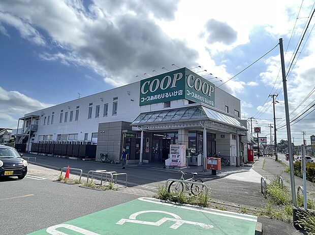 コープあおもりるいけ店（約500m）