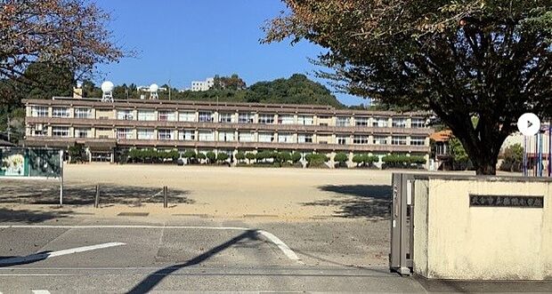 大分県立荏隈小学校(約800m)