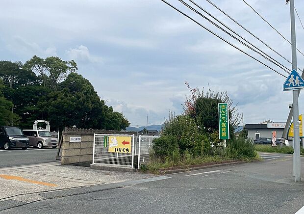 きんこう保育園