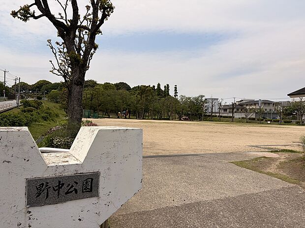 野中公園（約200m）