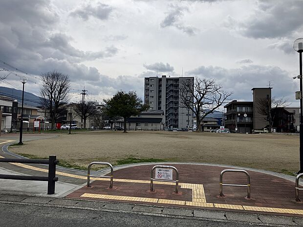 桜井中央児童公園(約500m)
