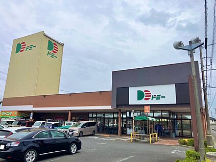 ドミー寺津店 約1600ｍ(徒歩約20分)