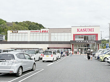 カスミフードスクエア我孫子寿店 約800ｍ