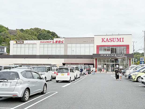 カスミフードスクエア我孫子寿店