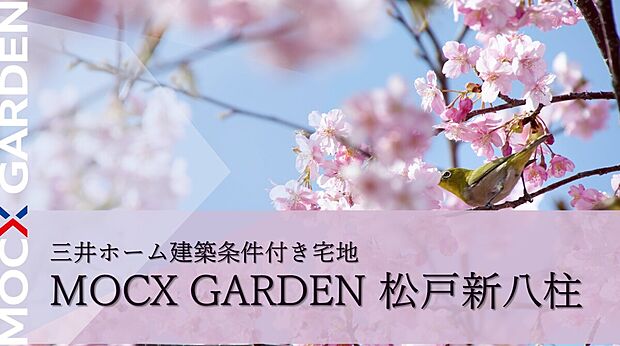 日本の道100選 「さくら通り」 に面する
四季を感じる豊かな暮らしを。