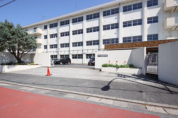 広徳中学校(約1m)