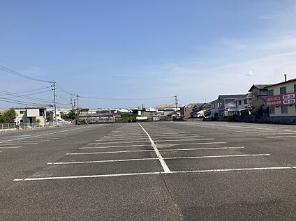 現地写真